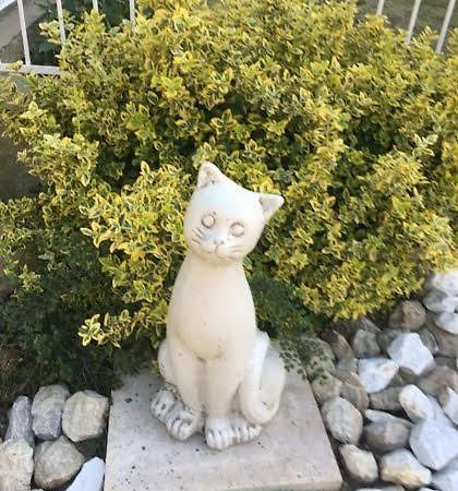 Lavender Daire Hévíz Dış mekan fotoğraf